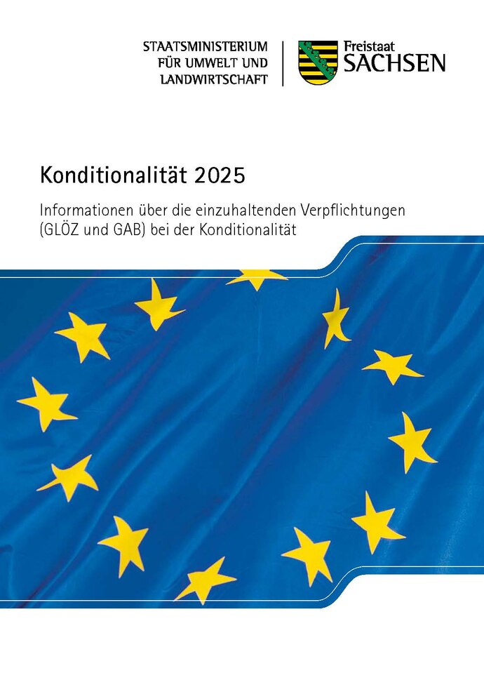 Konditionalität-Deckblatt